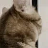 😳