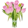 🌷