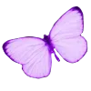 🦋