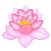 🌺
