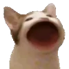 🤪
