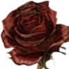 🥀