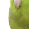 💚