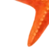 🍹