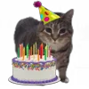 🎉