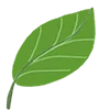 🍃