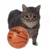 🏀