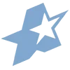 🌟