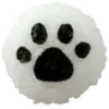 🐾