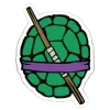 🐢