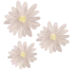 🌸