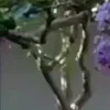 ⭐