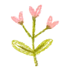 🌷