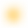 💛