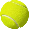 🎾