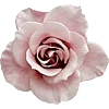 🌹