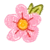 🌺