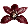 🌺