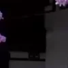 ⭐