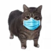 😷