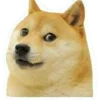 🦊
