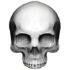 🩸