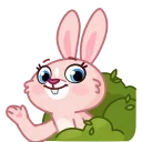 👋