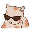 😎