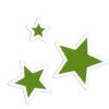 🌟