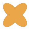 ✴️