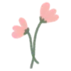 🌷