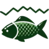 🐟