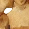 🎞️
