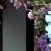 ⭐