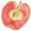 🍎