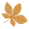 🍁