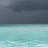🤩