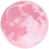 🌕