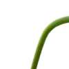 💚