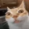 😶