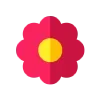 🌺