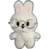 👓