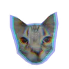 🐱