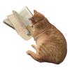 📖