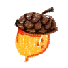 🌰
