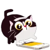 😺