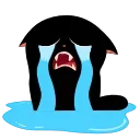 😿