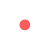 🟠
