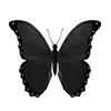 🦋