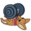 💪